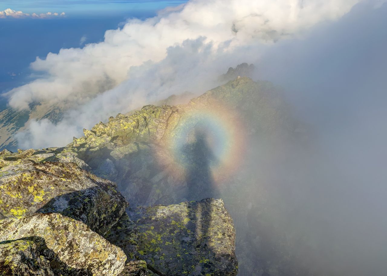 Regalos visuales de la monótona niebla